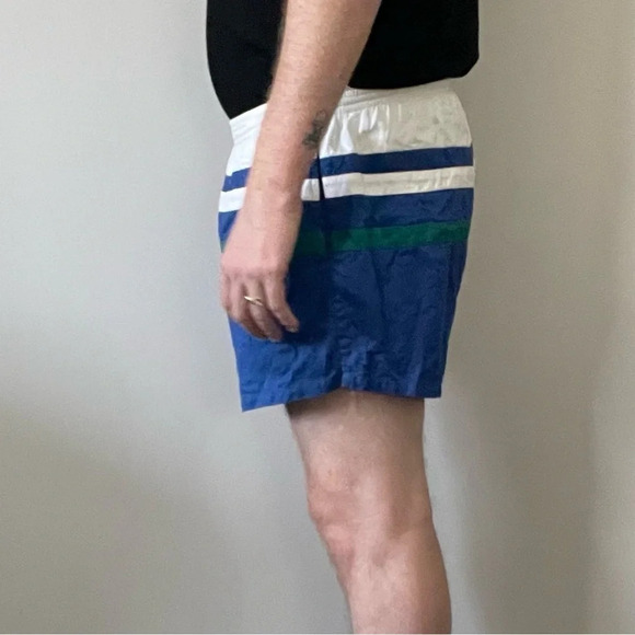 🌈  Vintage Vibes: Men’s Striped Shorts - Size LG by Club International 🌟 - Picture 5 of 13